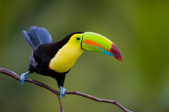 Nicaragua