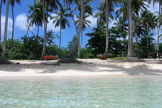 Niue (NZ)
