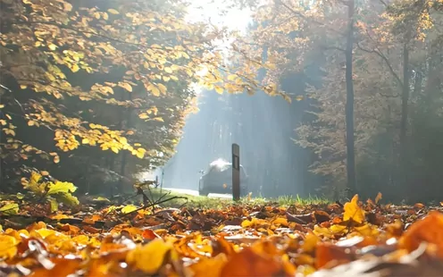 Sicher durch den Herbst