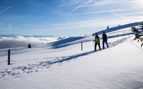 L’hiver en douceur