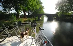 le boat