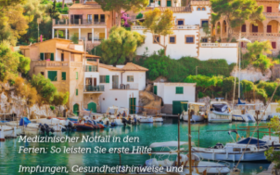 Gesundheitsführer