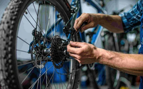 Bikekurse 2026