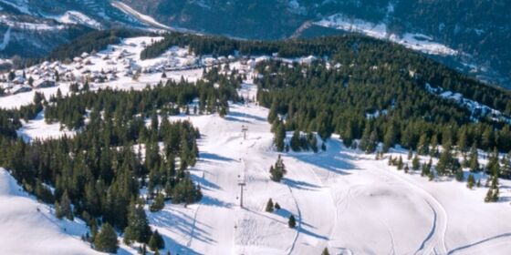 Carì inverno