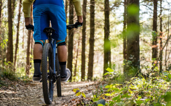 monvtt