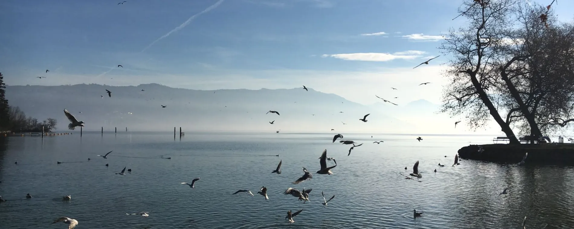 Sektion Zug