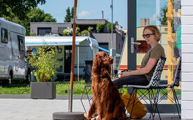 Guide du chiens au camping TCS