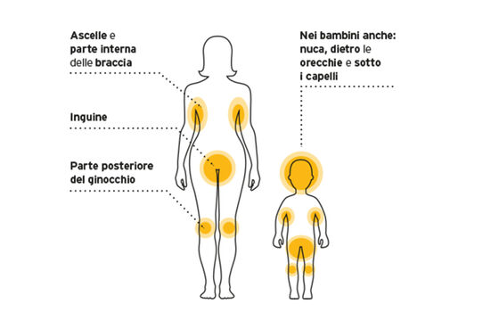 Aree del corpo preferite dalle zecche