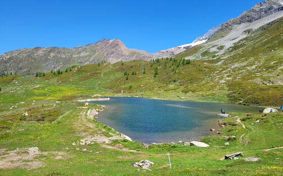 Simplon