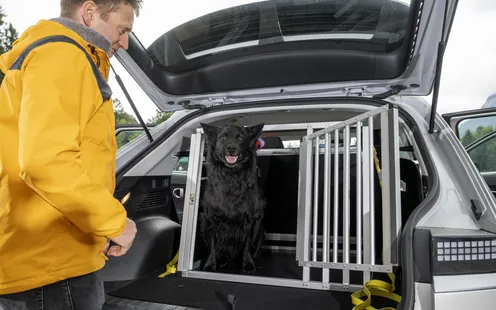 Hundeboxentest: Einzelne Modelle zersplittern beim Crashtest