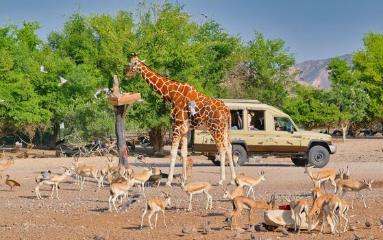 Sir Bani Yas