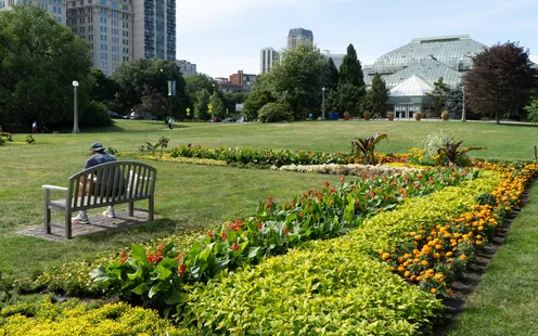 Les oasis de verdure de Chicago 