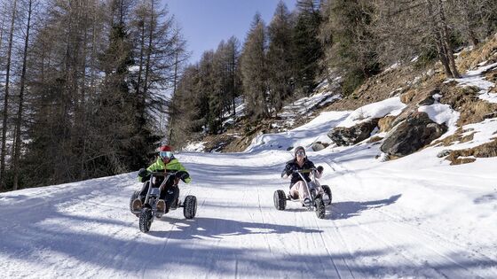 Mountain kart